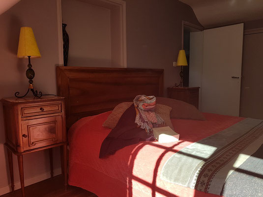 chambre d'hôtes proche chenonceau et amboise